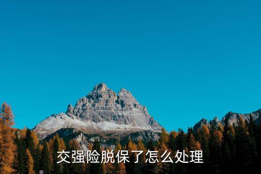 交強(qiáng)險(xiǎn)脫保了怎么處理