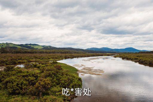 吃*，*能吃嗎
