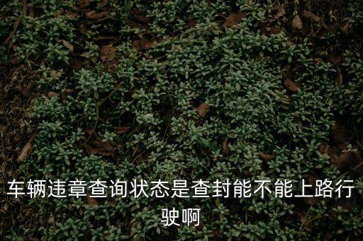 12123上車輛顯示查封，車輛狀態(tài)是查封兩個字是什么意思