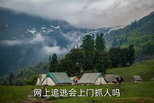 網(wǎng)絡(luò)通緝犯,網(wǎng)逃人員在線查詢