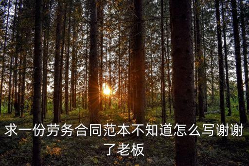 求一份勞務(wù)合同范本不知道怎么寫謝謝了老板