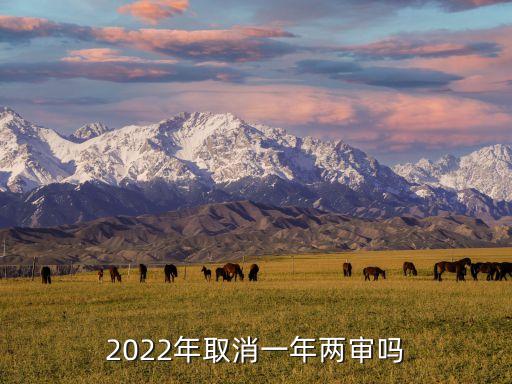 2022年取消一年兩審嗎