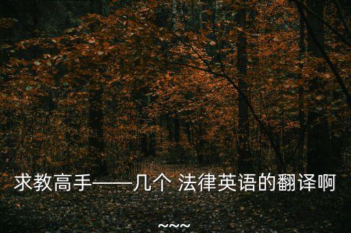 求教高手——幾個 法律英語的翻譯啊~~~