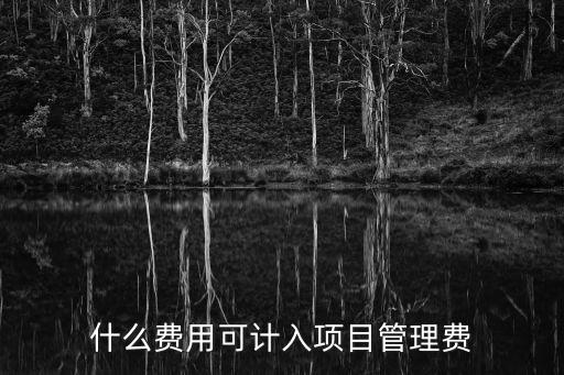 什么費(fèi)用可計(jì)入項(xiàng)目管理費(fèi)