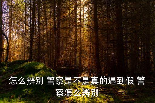 假警察