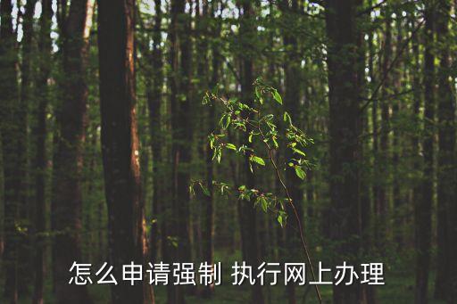 怎么申請(qǐng)強(qiáng)制 執(zhí)行網(wǎng)上辦理