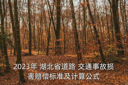 2023年 湖北省道路 交通事故損害賠償標(biāo)準(zhǔn)及計(jì)算公式