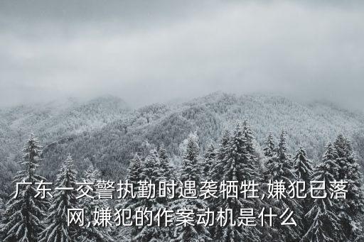 襲警事件,震驚全國(guó)的襲警事件