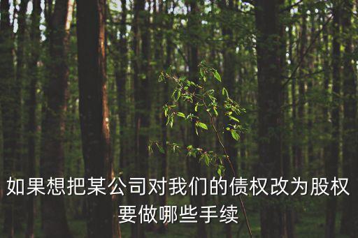債權(quán)轉(zhuǎn)股權(quán)，債權(quán)轉(zhuǎn)股權(quán)怎么操作