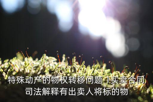 特殊動產(chǎn)的物權轉(zhuǎn)移問題 1買賣合同司法解釋有出賣人將標的物
