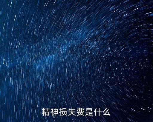精神損失費是什么