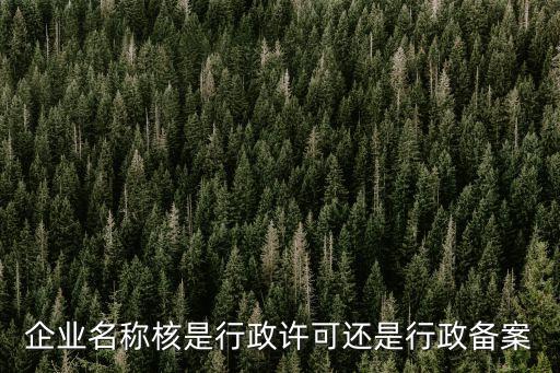 企業(yè)名稱(chēng)核是行政許可還是行政備案