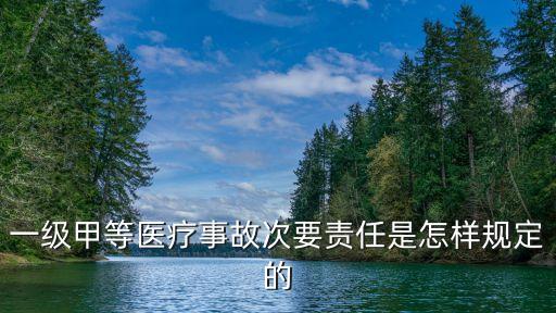 一級(jí)甲等醫(yī)療事故，一級(jí)甲等醫(yī)療事故