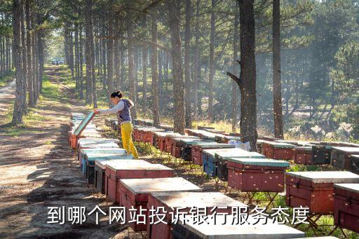 金融投訴網(wǎng)，金融公司欺詐去哪里舉報(bào)