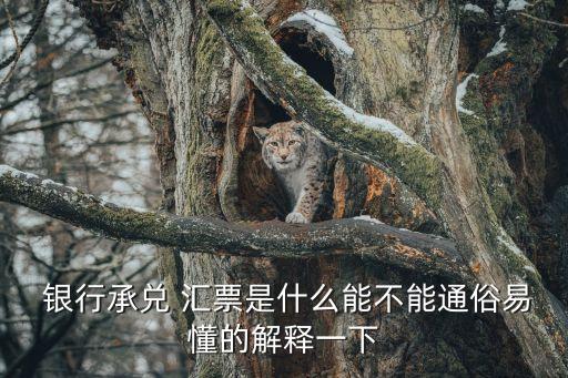  銀行承兌 匯票是什么能不能通俗易懂的解釋一下