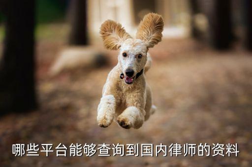 全國律師查詢，哪個網(wǎng)站能夠查到全面些的律師信息啊