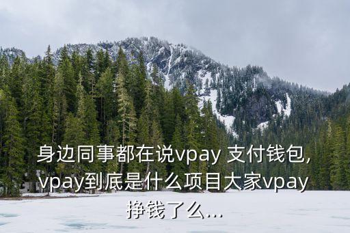 身邊同事都在說vpay 支付錢包,vpay到底是什么項(xiàng)目大家vpay掙錢了么...