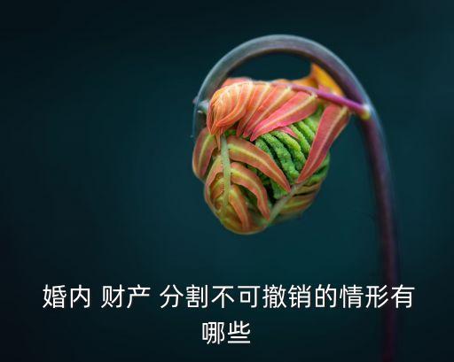 婚內(nèi)財(cái)產(chǎn)分割,最高院關(guān)于婚內(nèi)財(cái)產(chǎn)分割