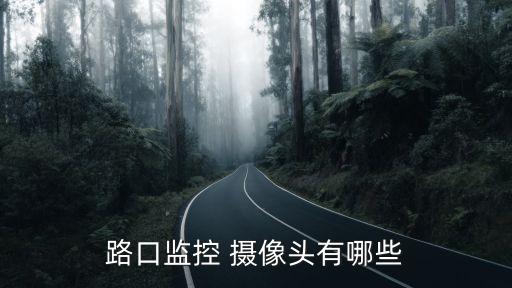 路口監(jiān)控 攝像頭有哪些