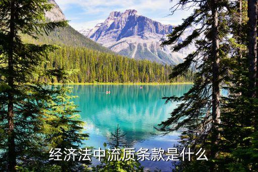 流質(zhì)條款，急流押條款和流質(zhì)條款有什么區(qū)別看定義差不多啊下午2點