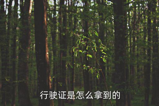 行駛證怎么辦,開別人的車沒有行駛證怎么辦