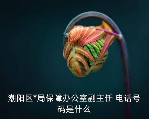 和平派出所電話,黑龍江省密山市和平派出所電話