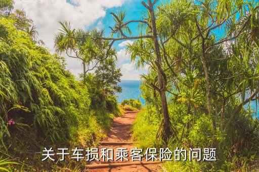 乘客險，乘坐險問題