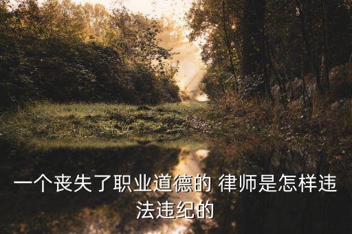一個喪失了職業(yè)道德的 律師是怎樣違法違紀(jì)的