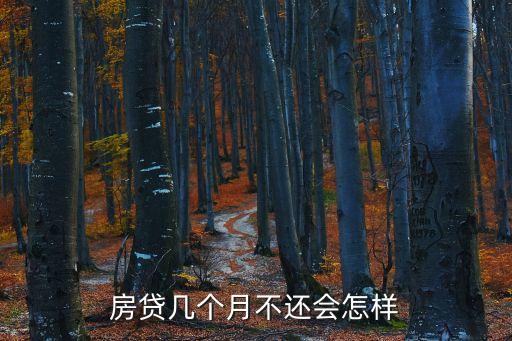 房貸幾個(gè)月不還會怎樣