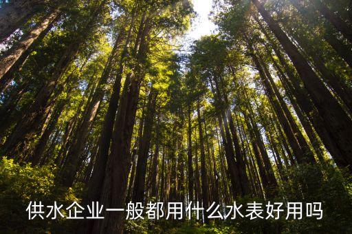 自來水公司水表，自來水水表有些什么型號(hào)規(guī)格