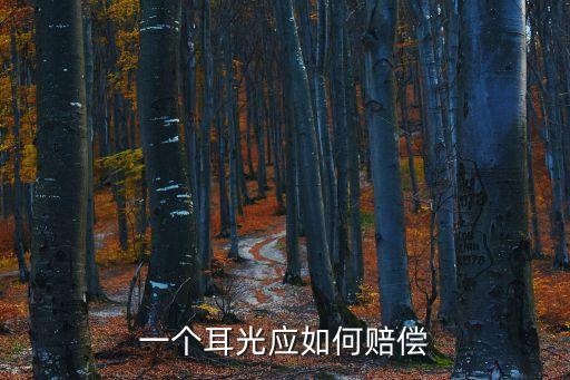 打人耳光賠償標(biāo)準(zhǔn)，無緣無故被人打了一個耳光賠償多少錢合理