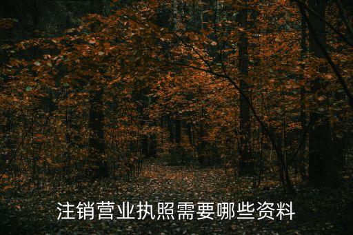 注銷(xiāo)營(yíng)業(yè)執(zhí)照需要哪些資料