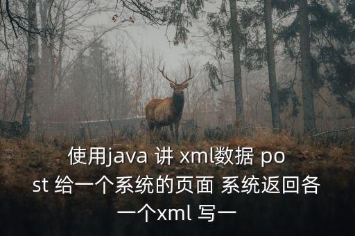 鄒海林，使用java 講 xml數(shù)據(jù) post 給一個(gè)系統(tǒng)的頁面 系統(tǒng)返回各一個(gè)xml 寫一