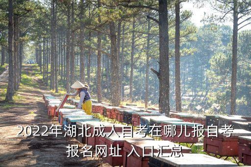 2022年湖北成人自考在哪兒報自考報名網(wǎng)址 入口匯總
