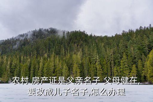 父母的房產(chǎn)證改兒子名,農(nóng)村自建房父母的房產(chǎn)證改兒子名