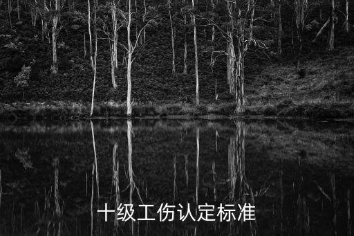 十級傷殘鑒定標準是什么，2020年工傷十級傷殘賠償標準是什么
