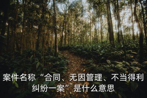 案由是什么意思