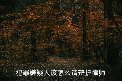 犯罪嫌疑人該怎么請(qǐng)辯護(hù)律師