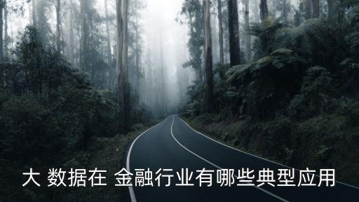 大 數(shù)據(jù)在 金融行業(yè)有哪些典型應(yīng)用