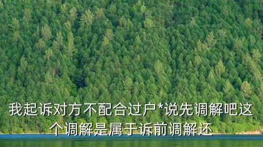 我起訴對方不配合過戶*說先調(diào)解吧這個調(diào)解是屬于訴前調(diào)解還