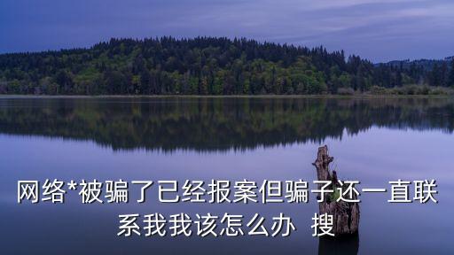 我已經(jīng)報警了，我已經(jīng)報過警了還有什么辦法呢急求幫助謝謝各位好心的律師