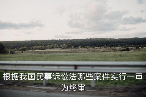 根據(jù)我國民事訴訟法哪些案件實(shí)行一審為終審