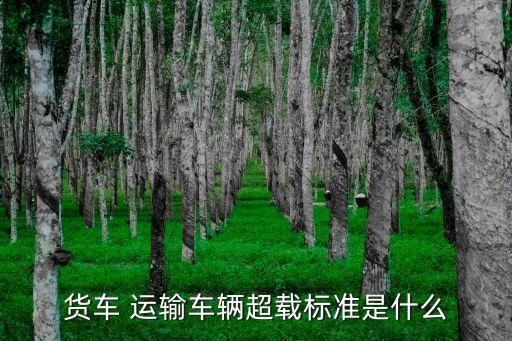 貨車 運輸車輛超載標準是什么
