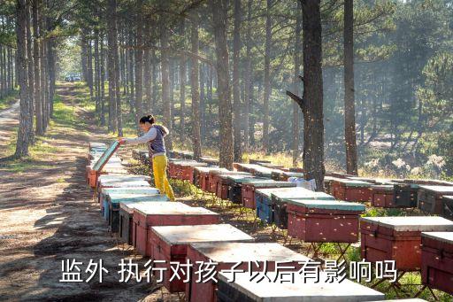  監(jiān)外 執(zhí)行對(duì)孩子以后有影響嗎