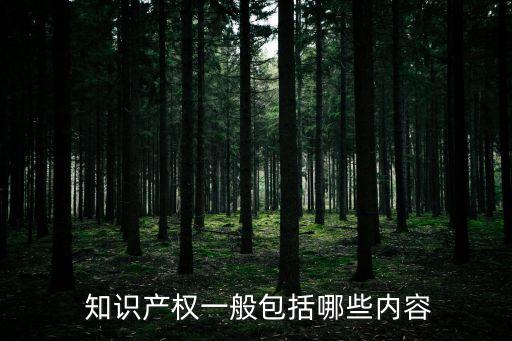  知識(shí)產(chǎn)權(quán)一般包括哪些內(nèi)容
