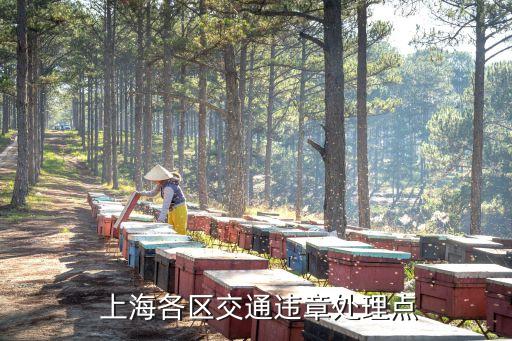 上海交警電話,121233100上海交警電話