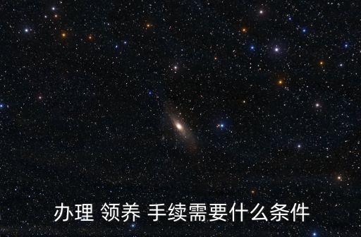 領(lǐng)養(yǎng)手續(xù)如何辦理,收養(yǎng)法2023年新規(guī)定