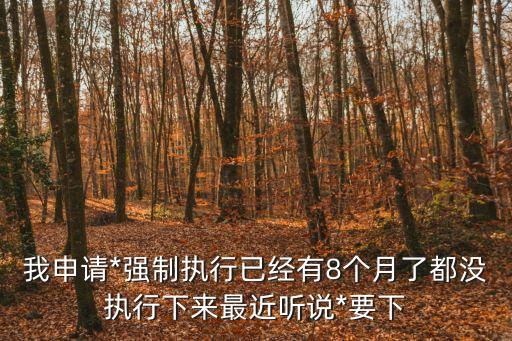 我申請(qǐng)*強(qiáng)制執(zhí)行已經(jīng)有8個(gè)月了都沒執(zhí)行下來最近聽說*要下