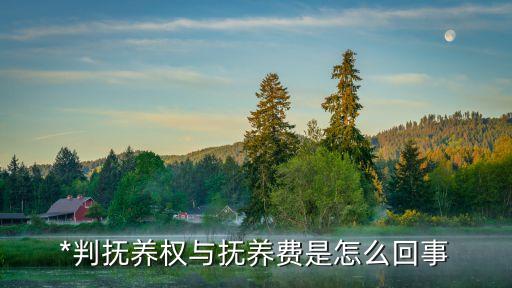 *判撫養(yǎng)權與撫養(yǎng)費是怎么回事