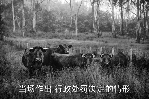 行政決定